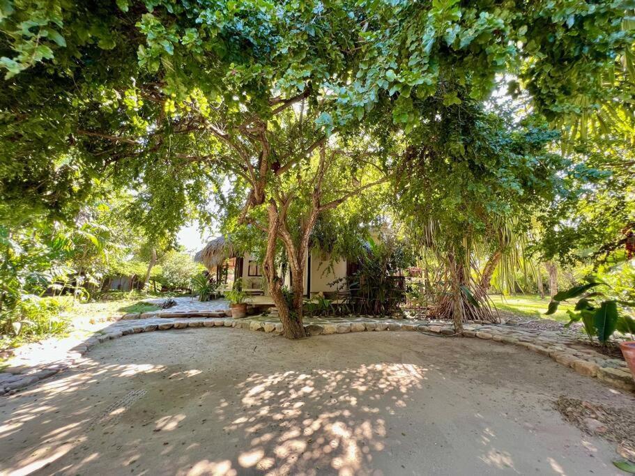 Вілла Casa Kuul, Elegant Fusion Of House And Garden. Пуерто-Ескондідо Екстер'єр фото